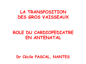 Diagnostic : apport du cardiopédiatre, C. PASCAL, Nantes