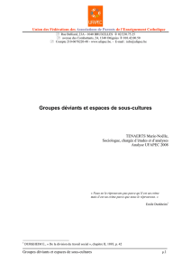 groupes déviants et espaces de sous-culture