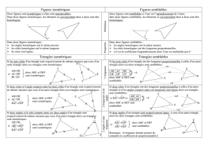 Les triangles semblables et isométriques