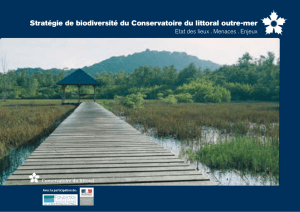 Stratégie de biodiversité du Conservatoire du littoral outre-mer