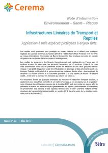 Infrastructures linéaires de transport et reptiles