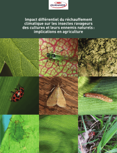 Impact différentiel du réchauffement climatique sur les insectes