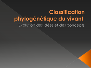 Classification phylogénétique du vivant