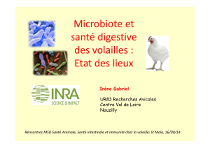 Microbiote et santé digestive des volailles : Etat des lieux