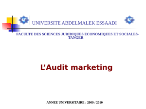 II- Méthodologie de l`audit marketing