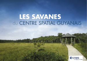 les savanes - Le Centre Spatial Guyanais