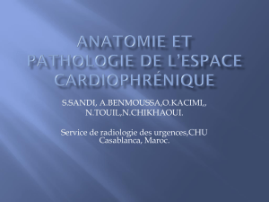 Anatomie et pathologie de l`espace cardiophrénique