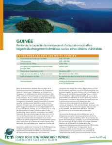 guinée - UN CC:Learn