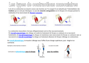 musculation-les-contractions.pd