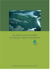 Télécharger - Parc naturel régional de Camargue