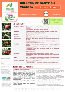 bulletin de santé du végétal