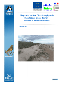 Diagnostic 2015 de l`état écologique de l`habitat des laisses de mer