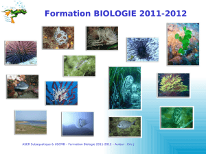 Biologie 2010-2011 Les Arthropodes