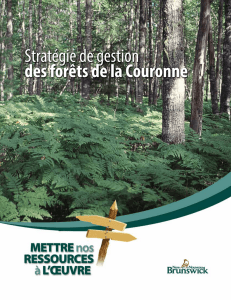 Stratégie de gestion des forêts de la Couronne