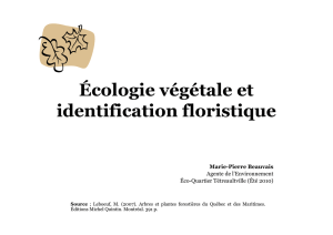 Écologie végétale et identification floristique
