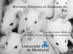 Mycoses, Parasites et Zoonoses du Rat