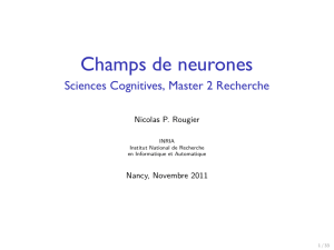 Champs de neurones - Sciences Cognitives, Master 2