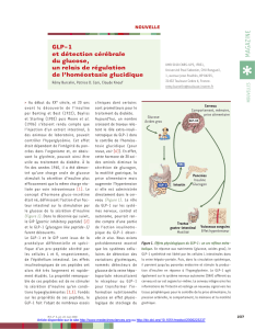 GLP-1 et détection cérébrale du glucose, un relais de - iPubli