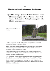 Résistance locale et maquis des Vosges