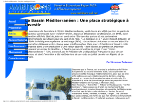 Le Bassin Méditerranéen : Une place stratégique à investir