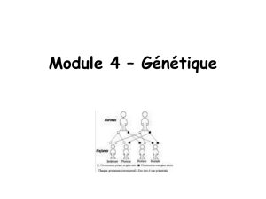 Module 4 – Génétique