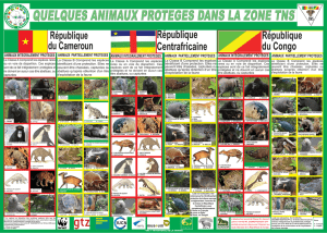 poster classe animaux TNS