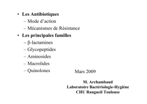 Antibiotiques : mode d`action, résistance, principales familles