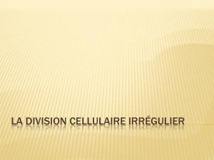 La division cellulaire irrégulier