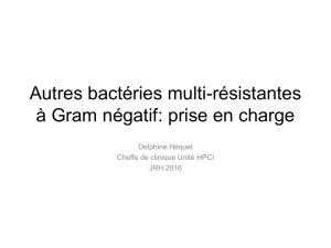 Autres bactéries multi-résistantes à Gram négatif: prise en charge