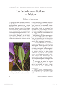 Les rhododendrons lépidotes en Belgique