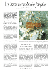 Les insectes marins des côtes françaises / Insectes n° 105