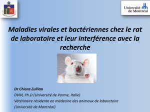 Maladies viarales et bacteriennes chez le rat et leur impact en