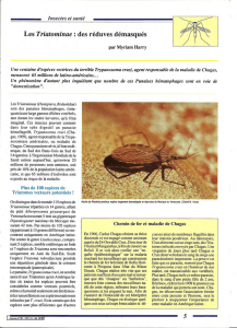Les Triatominae : des réduves démasqués / Insectes n° 80