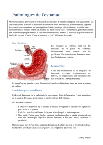 Pathologies de l`estomac