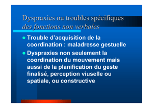 Dyspraxies ou troubles spécifiques des fonctions non verbales