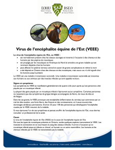 Virus de l`encéphalite équine de l`Est (VEEE)