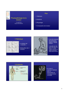 Physiopathologie de la douleur Plan 1.Historique 2.Anatomie