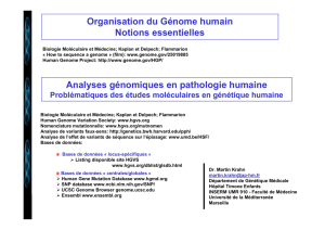 M KRAHN Organisation Genome et Analyses genomiques 2009