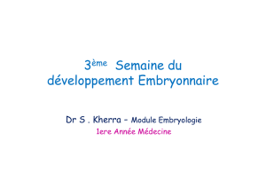 3ème Semaine du développement Embryonnaire