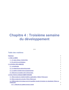 Version PDF