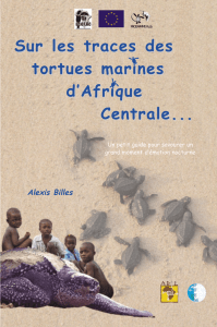 Sur les traces des tortues marines d`Afrique Centrale