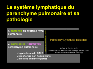 Le système lymphatique du parenchyme