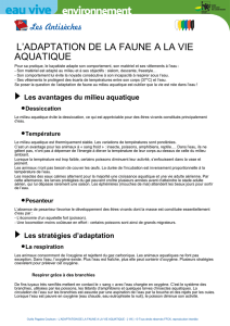 l`adaptation de la faune a la vie aquatique