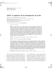 Publication: LEAFY: a master regulator of flower development
