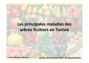 Les principales maladies des arbres fruitiers en Tunisie