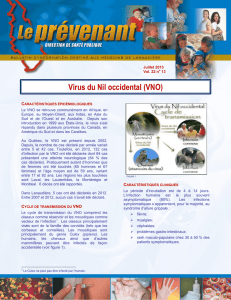 Virus du Nil occidental (VNO)