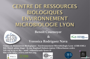 Benoit Cournoyer - CRB Environnement