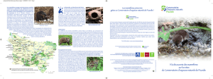 Plaquette mammifères 2831.33 ko | PDF