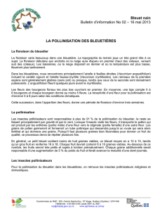 Bulletin d`information No 02 - Agri