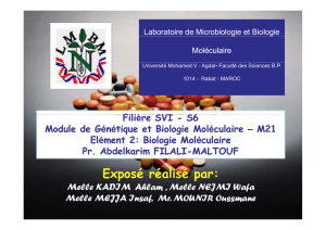 Mode d`action des antibiotique - Faculté des Sciences de Rabat